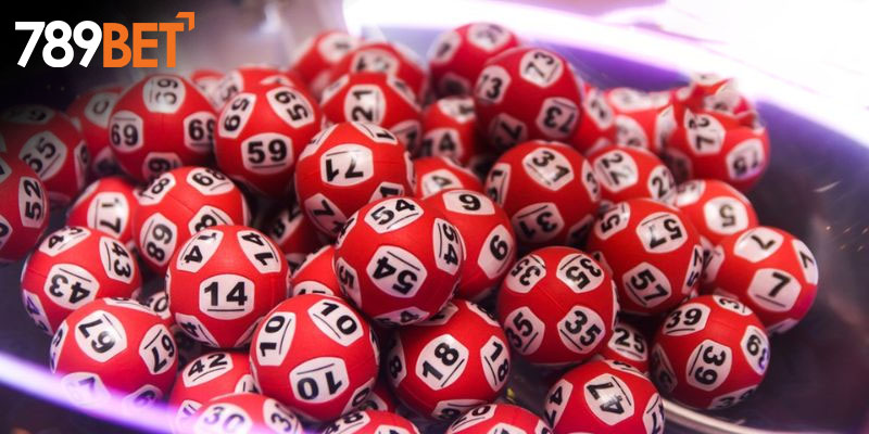 Kinh nghiệm quan trọng khi nuôi khung đặc biệt 3 ngày